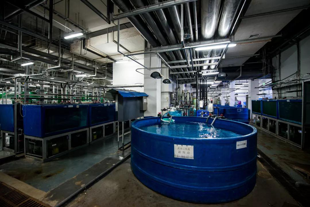 蠕動泵用于克服(fu)三種廢水問題